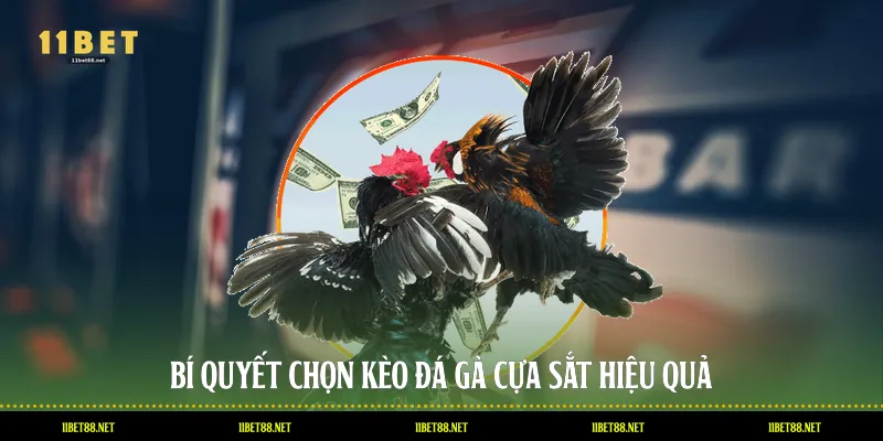 Bí quyết chọn kèo đá gà cựa sắt hiệu quả