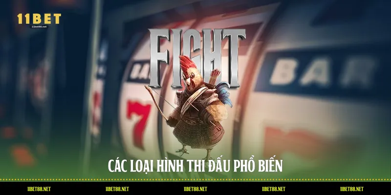 Các loại hình thi đấu phổ biến