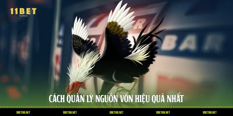 Cách quản lý nguồn vốn hiệu quả nhất