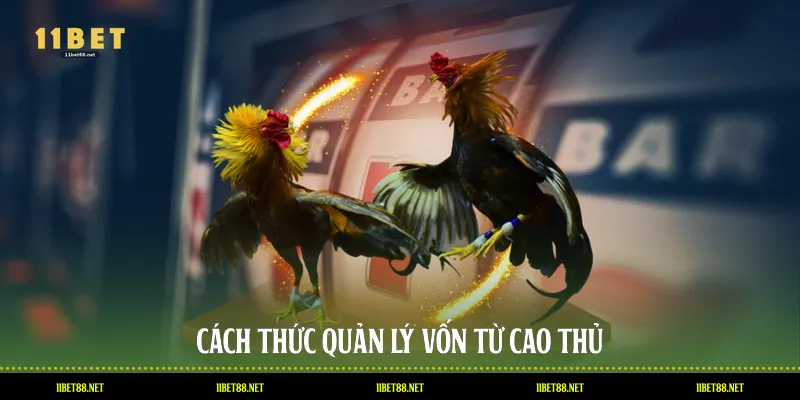 Cách thức quản lý vốn từ cao thủ