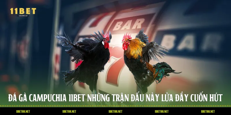 Đá Gà Campuchia 11BET: Những Trận Đấu Nảy Lửa Đầy Cuốn Hút