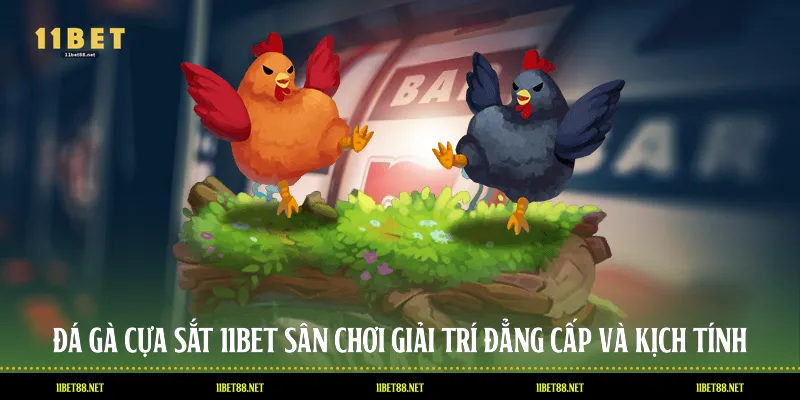 Đá Gà Cựa Sắt 11BET: Sân Chơi Giải Trí Đẳng Cấp Và Kịch Tính