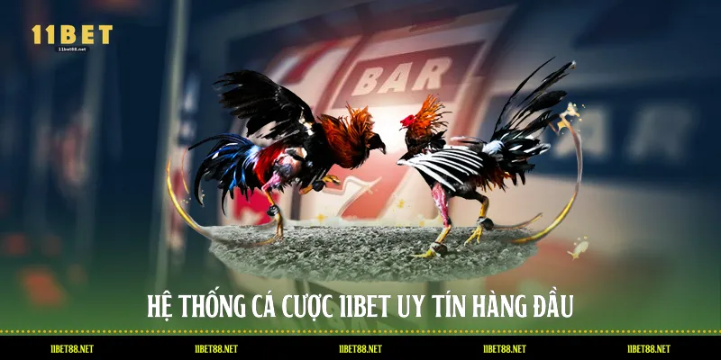 Hệ thống cá cược 11BET uy tín hàng đầu