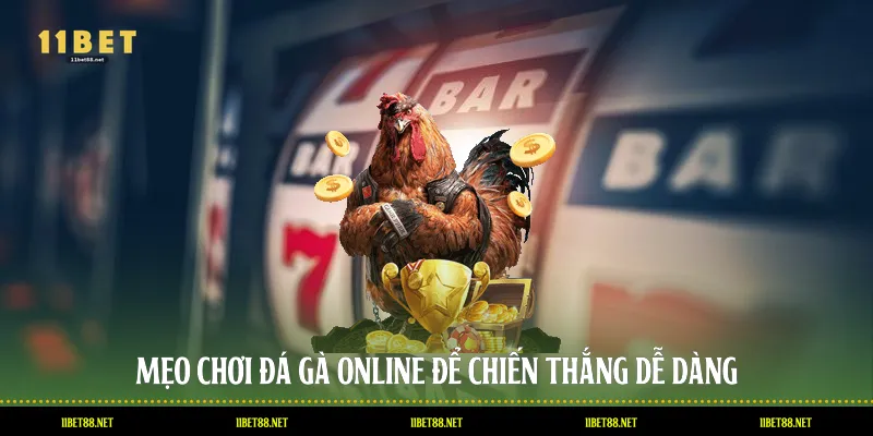 Mẹo chơi đá gà Online để chiến thắng dễ dàng