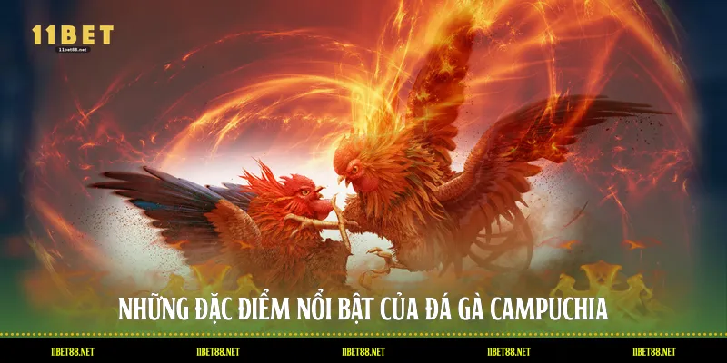 Những đặc điểm nổi bật của đá gà Campuchia