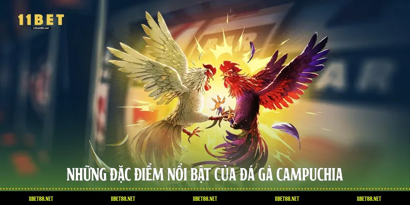 Những đặc điểm nổi bật của đá gà Campuchia