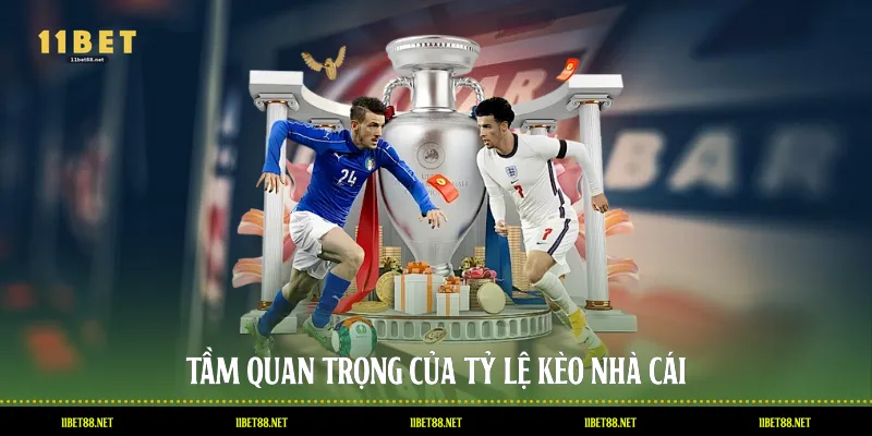 Tầm quan trọng của tỷ lệ kèo nhà cái