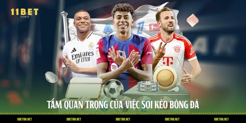 Tầm quan trọng của việc soi kèo bóng đá